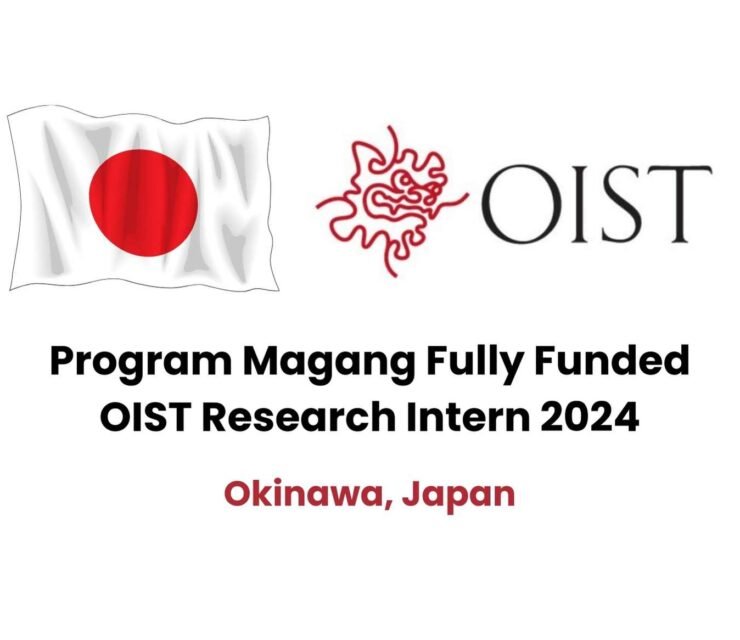 OIST Research Internship 2024